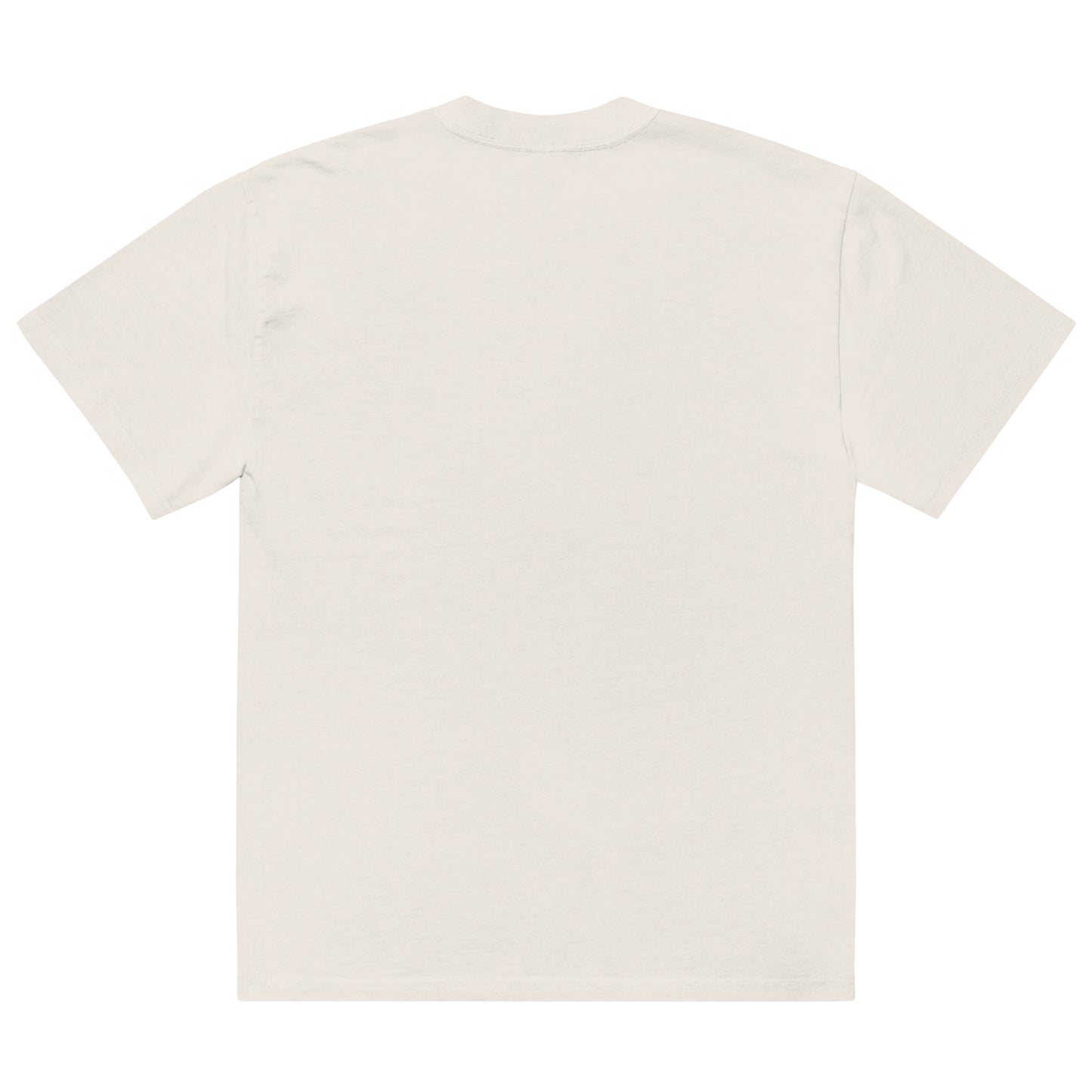Anamnesis Oversized faded t-shirt